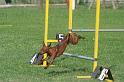 RoryAgility (2)